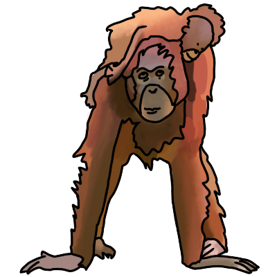 A digital drawing of a mother and baby Bornean orangutan. the texture is paintd, but there are black outlines over it. the mother is standing on her four legs and the baby is on top of her, holding onto her.